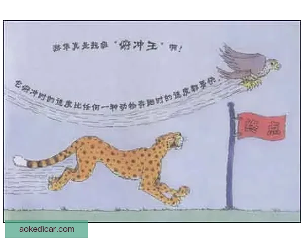 博尔特对决猎豹人类极速与自然速度的终极较量揭秘谁更快科学解析 博尔特对决猎豹人类极速与自然速度的终极较量揭秘谁更快科学解析