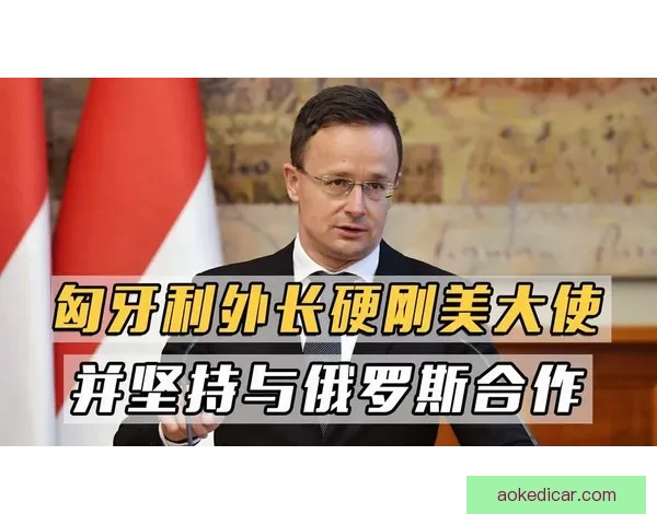 匈牙利与俄罗斯实力对比分析及近期表现评估